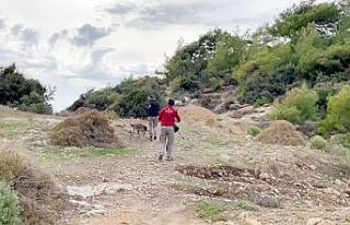 Sedanur’dan 275 gündür haber alınamıyor