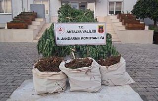 Serik’te jandarmadan uyuşturucu operasyonu: 3 gözaltı