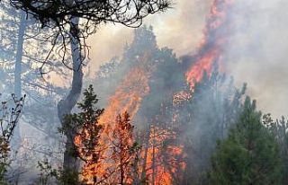 Seyitgazi’deki orman yangınına müdahale sürüyor