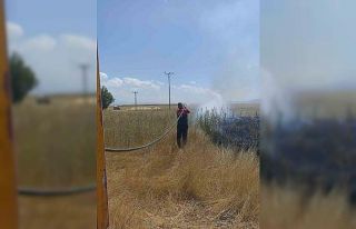 Sıcak hava yangınları beraberinde getirdi