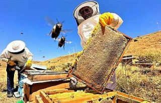 Sıcaklık ve iklim değişikliği bal rekoltesini...