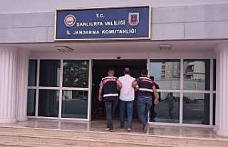 Sığınmacı kimliğiyle yaşayan cinayet zanlısı...