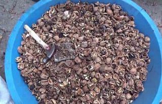 Siirt’in ücra mahallelerinde yaşayan kadınlar,...