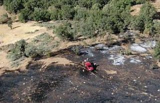 Siirt’te çıkan orman yangını kontrol altına...