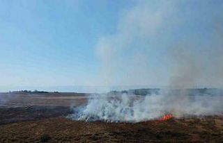 Sinop’ta makilik alanda yangın