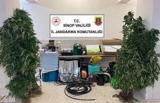 Sinop’ta uyuşturucu tacirlerine operasyon