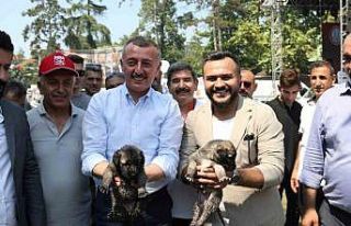 Sivas 2. Gardaşlık Buluşmasına büyük ilgi