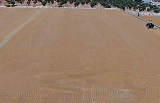 Sofraların vazgeçilmez lezzeti bulgurun meşakkatli...