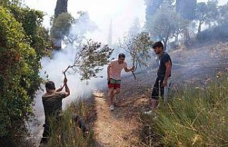 Söke’deki yangın kısmen kontrol altına alındı