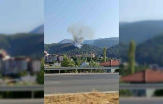 Soma’daki orman yangını kontrol altına alındı