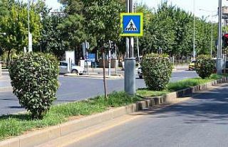 Su tasarrufu için kuru peyzaj çalışmaları başladı