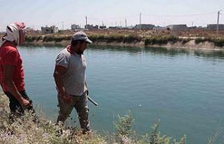 Sulama kanalına düşen 15 yaşındaki Yaprak kayboldu