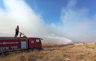 Sungurlu’da 6 dönüm ağaçlık alan küle döndü