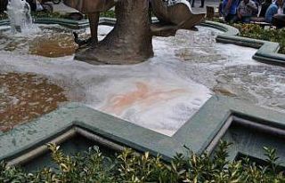 Süs havuzundaki bu kirliliğin sebebi merak konusu...