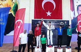 Taekwondoda Erzurum başarısı