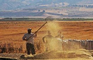 Tarımsal girdi fiyat endeksi yıllık yüzde 27,70,...