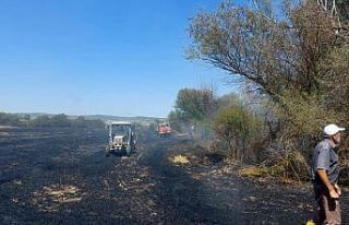 Tarla yangını ormana sıçramadan söndürüldü