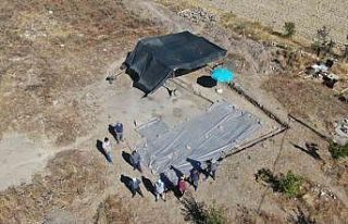 Tarlada çiftçinin bulduğu tarihi taban mozaikler...