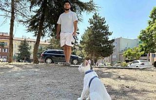 Tasmasıyla dolaşan kedi şehrin her yerini geziyor