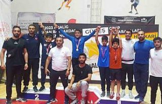 Tatvan Güreş Takımından önemli başarı