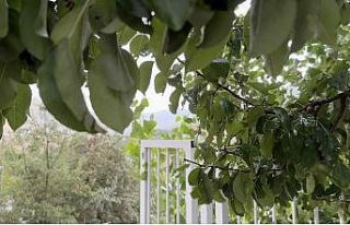 Tatvan’da yağmur yağışı