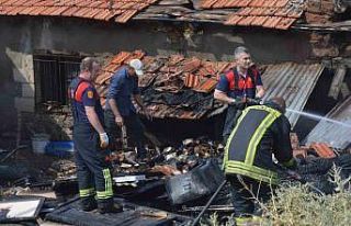 Tavşanlı’daki baraka yangınında tavuklar telef...