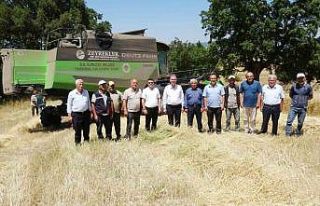 Tavşanlı’nın Kuruçay beldesinde ’Harman kaldırma’...