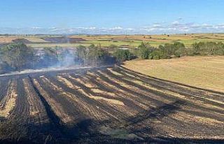 Tekirdağ’da 250 dönüm tarım arazisi kül oldu