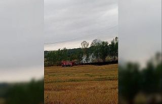 Tekirdağ’da arazi yangını