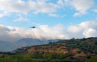 Tekirdağ’da orman yangını korkuttu
