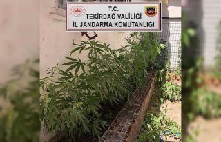 Tekirdağ’da uyuşturucu operasyonu