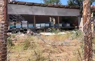 Tel örgülü önlem ayıları durduramadı: Korumaya...