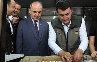 TMO Ordu’da fındık alımlarına başladı: İlk...