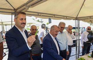 Tokat’tın meşhur sebze ve meyveleri birinci olmak...