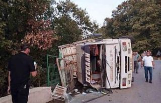 Tomruk yüklü kamyon devrildi, sürücü yaralandı