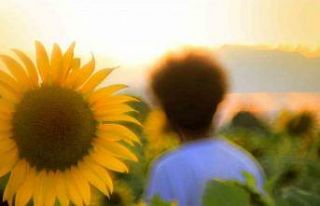 Trakya değil Yüksekova