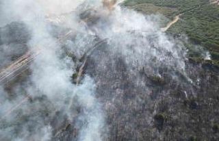 TÜBİTAK yerleşkesinde çıkan yangına 4 uçak...