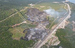 TÜBİTAK yerleşkesindeki orman yangını kontrol...