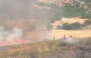 Tunceli’de otluk alanda çıkan yangın, ormanlık...