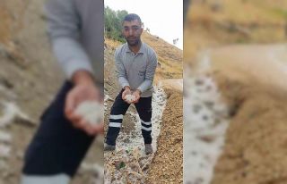 Tunceli’yi ağustos ayında dolu vurdu