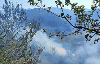 Türkeli’de çıkan anız yangını korkuttu