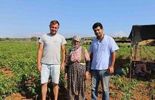 Türkiye’nin ceviz fidanı ihtiyacı bu bölgeden...