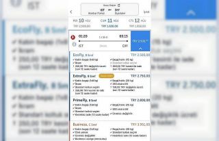 Uçak biletlerinde tavan fiyat 2 bin 500 TL oldu