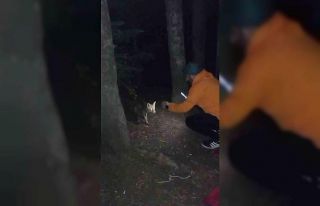 Uludağ’da yanına gelen tilkiye köfte ikram etti