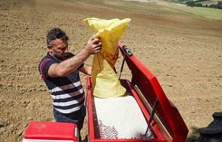 Üreticiye 7,2 milyon litre akaryakıt desteği