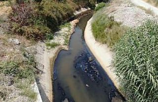 Ürünlerini kirli suyla besleyen üreticiler tedirgin...