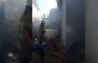 Uşak’ta müstakil evde çıkan yangın korkuttu