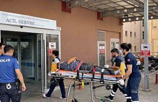 Üzerine 1 ton yük düşen şoför yaralandı