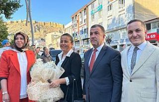 Vali Eldivan göreve başladı