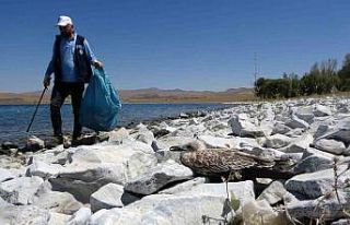Van Gölü’ndeki martı ölümleri belediyeleri...